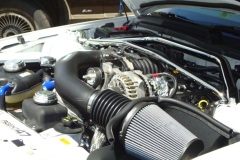 2005-Ford-Mustang-Poush